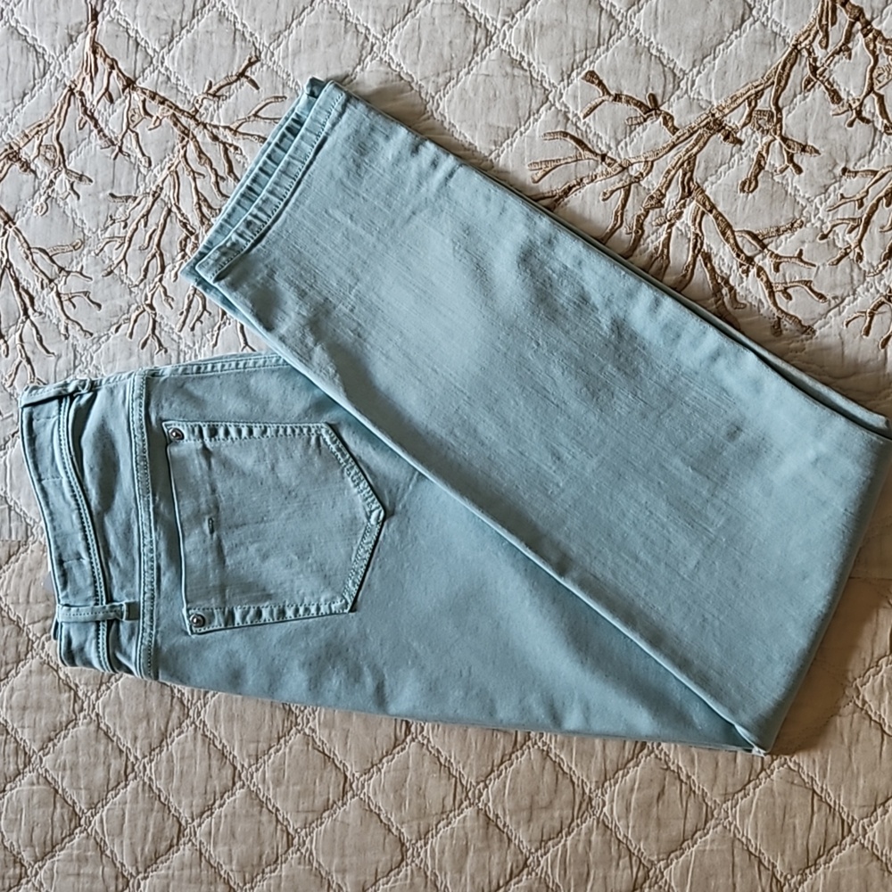 J. Jill Denim Authentic Fit Slim Ankle women’s jeans Size 10 light seafoam